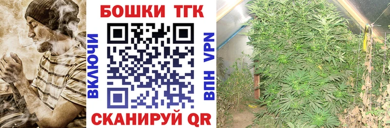 Шишки марихуана THC 21%  Зеленогорск 